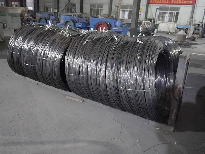 55 Carbon Steel Wire